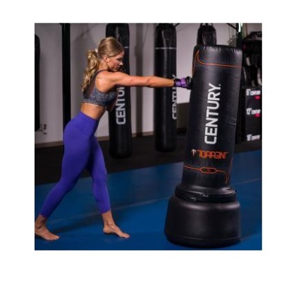 102161 Напольный мешок CENTURY Torrent T1