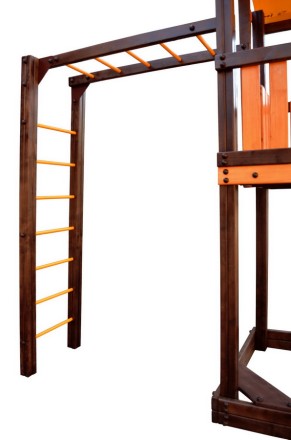 ИК Perfetto sport "Pitigliano-6"