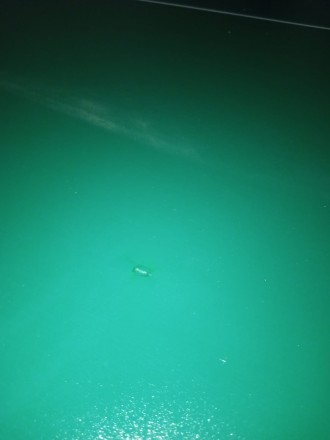 Теннисный стол складной для помещений "Player Indoor" (274 х 152,5 х 76 см) D1