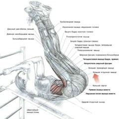 Доска для пресса RS-PRO
