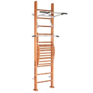 Детский спортивный комплекс (ДСК) "Perfetto sport" Rapido PS-102 с тренажером Vinsere