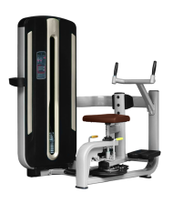 BRONZE GYM MNM-011 Торс-машина