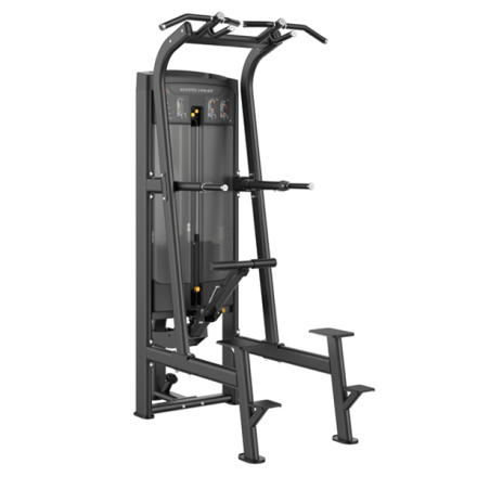 Тренажер Smith RE8008 Подтягивание/Отжимание с помощью