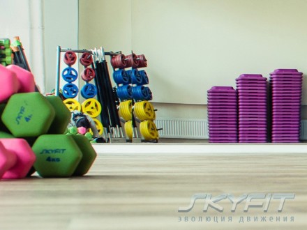 SF-RK-BB Стойка для бодибаров Original SKYFIT NEW