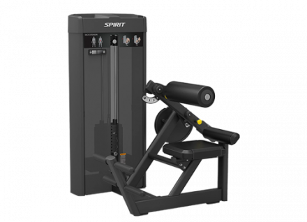 Разгибание спины Spirit SP-4310
