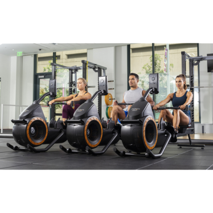 Гребной тренажер Octane RO Гребной тренажер Octane RO