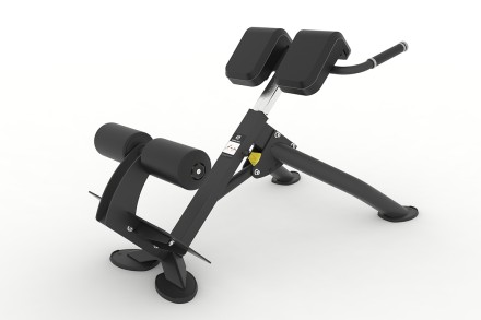 Гиперэкстензия под углом 45 градусов Spirit SP-4220