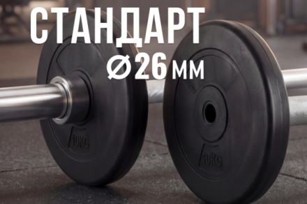 Диск 26 мм. пластиковый  10 кг VictoryFit VF-SPL26100