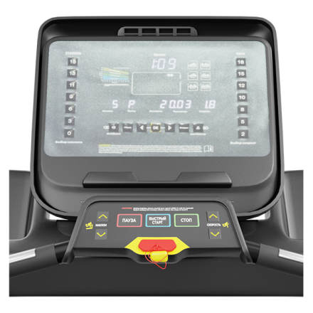 Беговая дорожка CardioPower PRO CT230