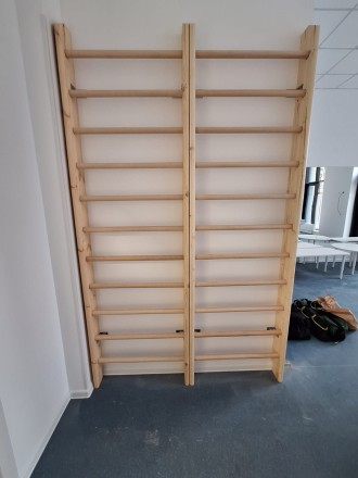 Шведская стенка деревянная RS 260х80