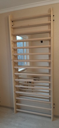 Шведская стенка для реабилитации 260х100