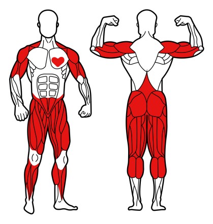 Уличный тренажер 'Эллиптический' УТ-19