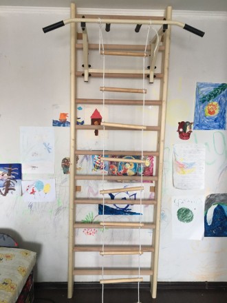 Шведская стенка деревянная RS-DT-PRO-1