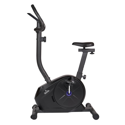 RFIB-11 Велотренажер магнитный Royal Fitness RF-11