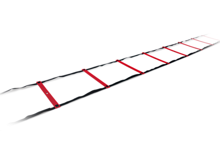 Лестница координационная UFC
