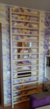 Шведская стенка для реабилитации RS 260х80